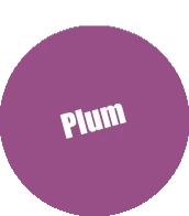 070 - Pro Acryl Plum - Image 2