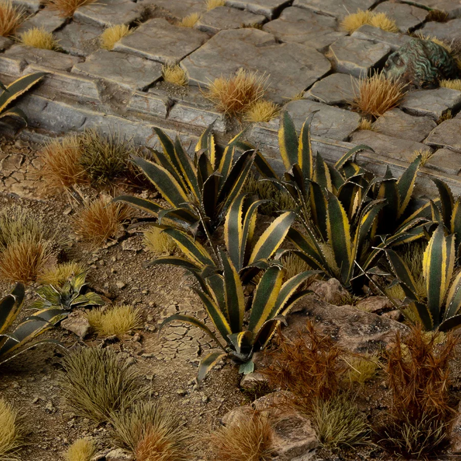 Agave - Image 3