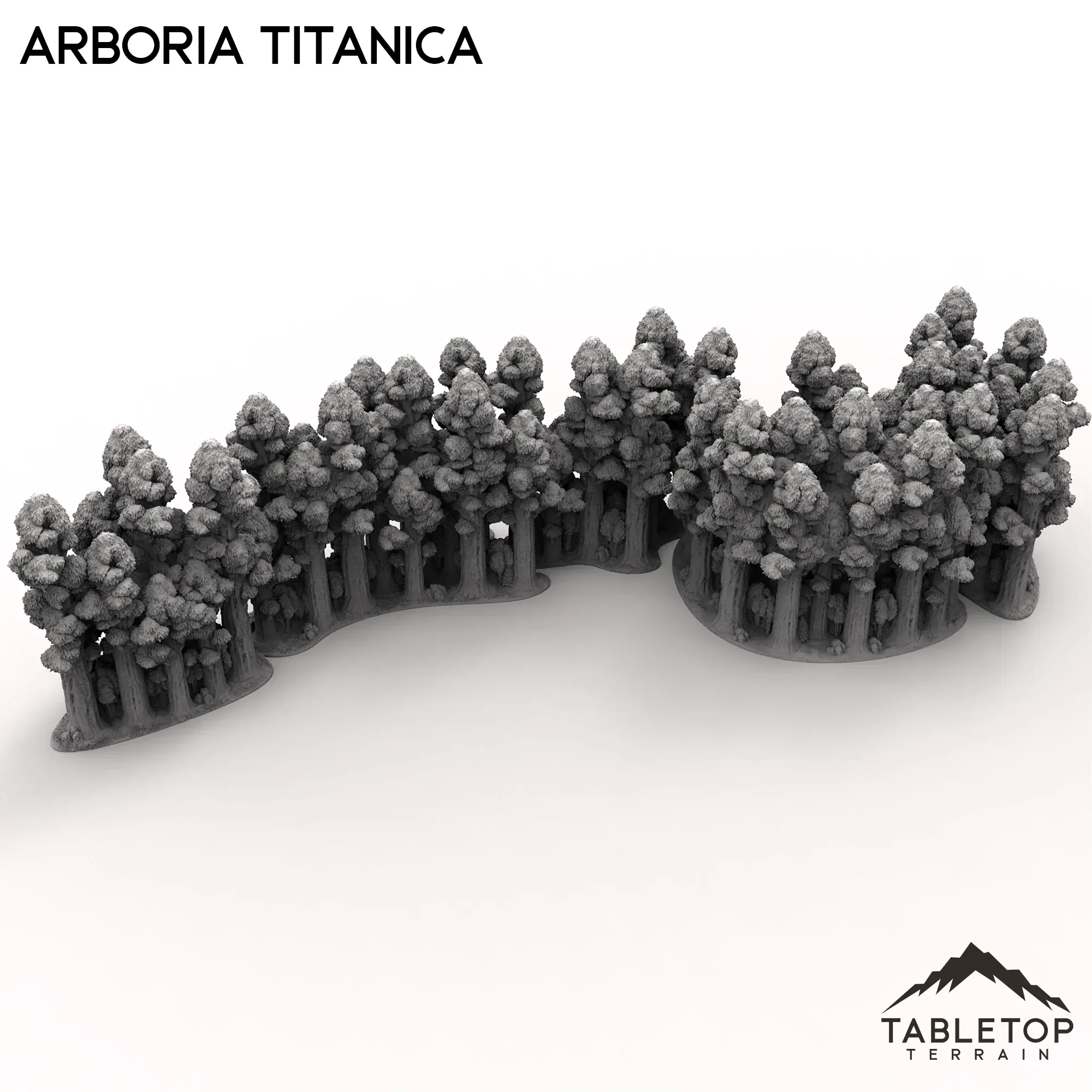 Arboria Titanica - 6-8mm - Image 3