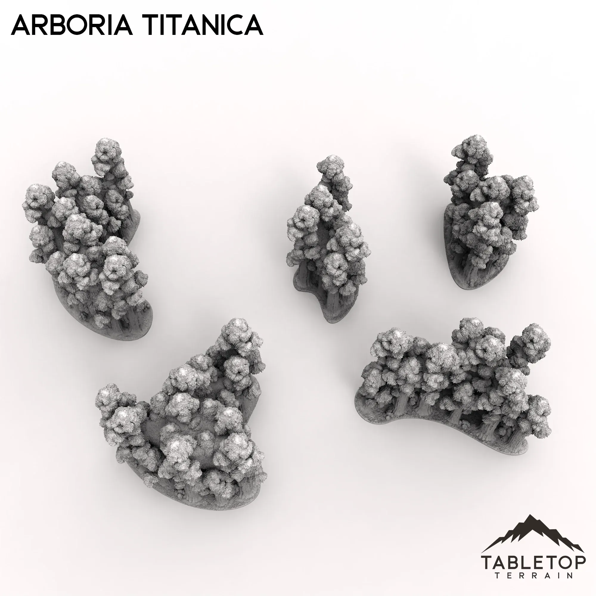 Arboria Titanica - 6-8mm - Image 4