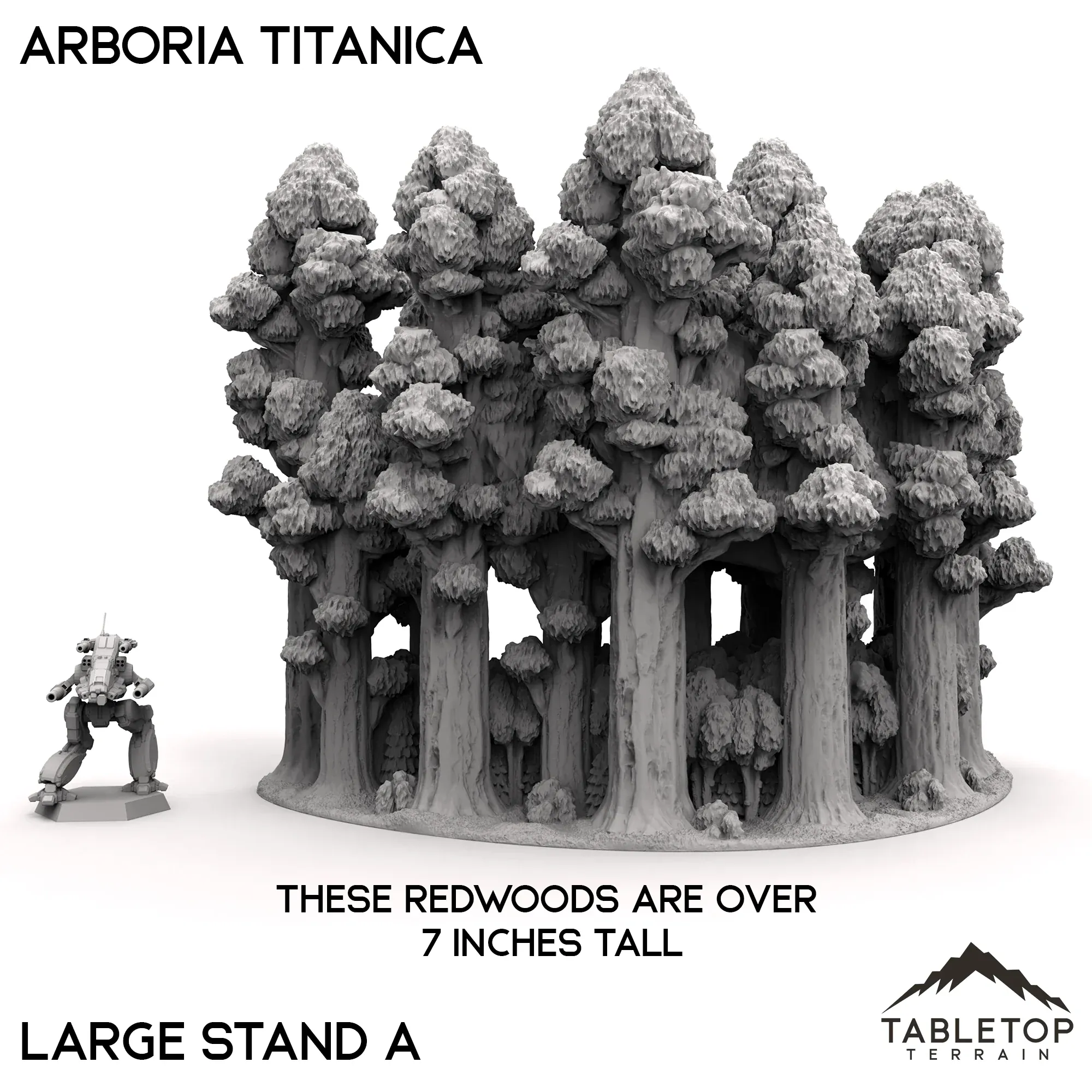 Arboria Titanica - 6-8mm - Image 5