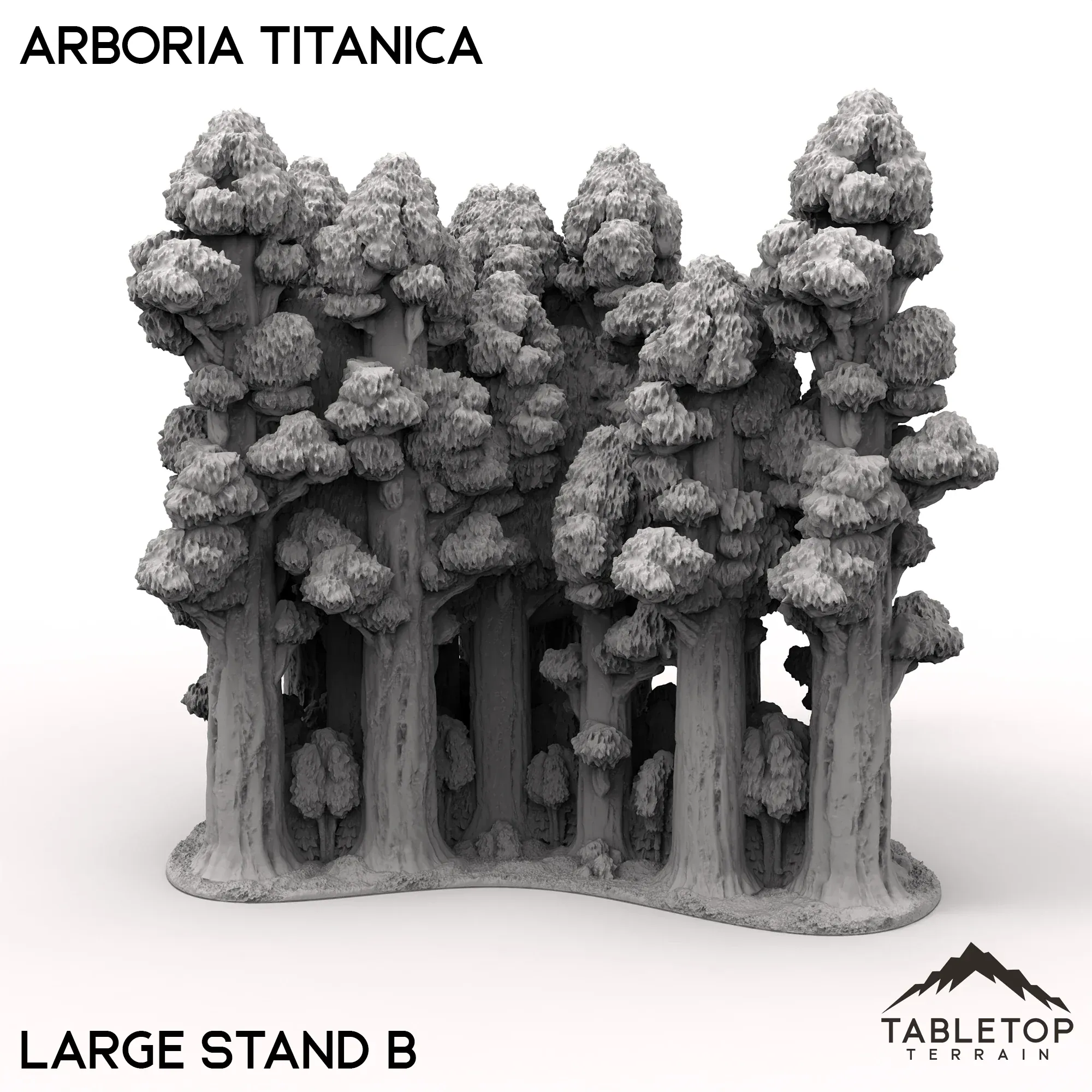 Arboria Titanica - 6-8mm - Image 6