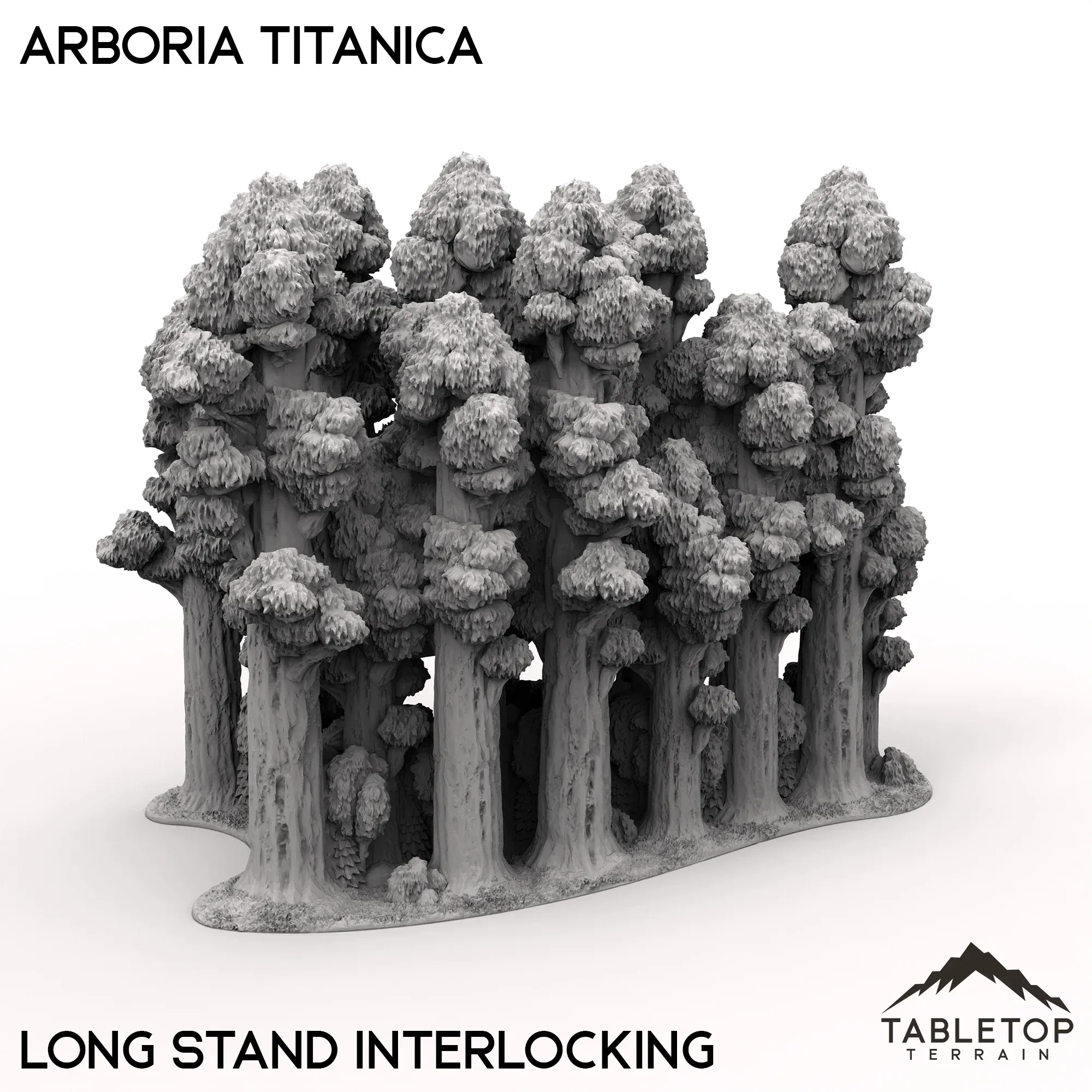 Arboria Titanica - 6-8mm - Image 7