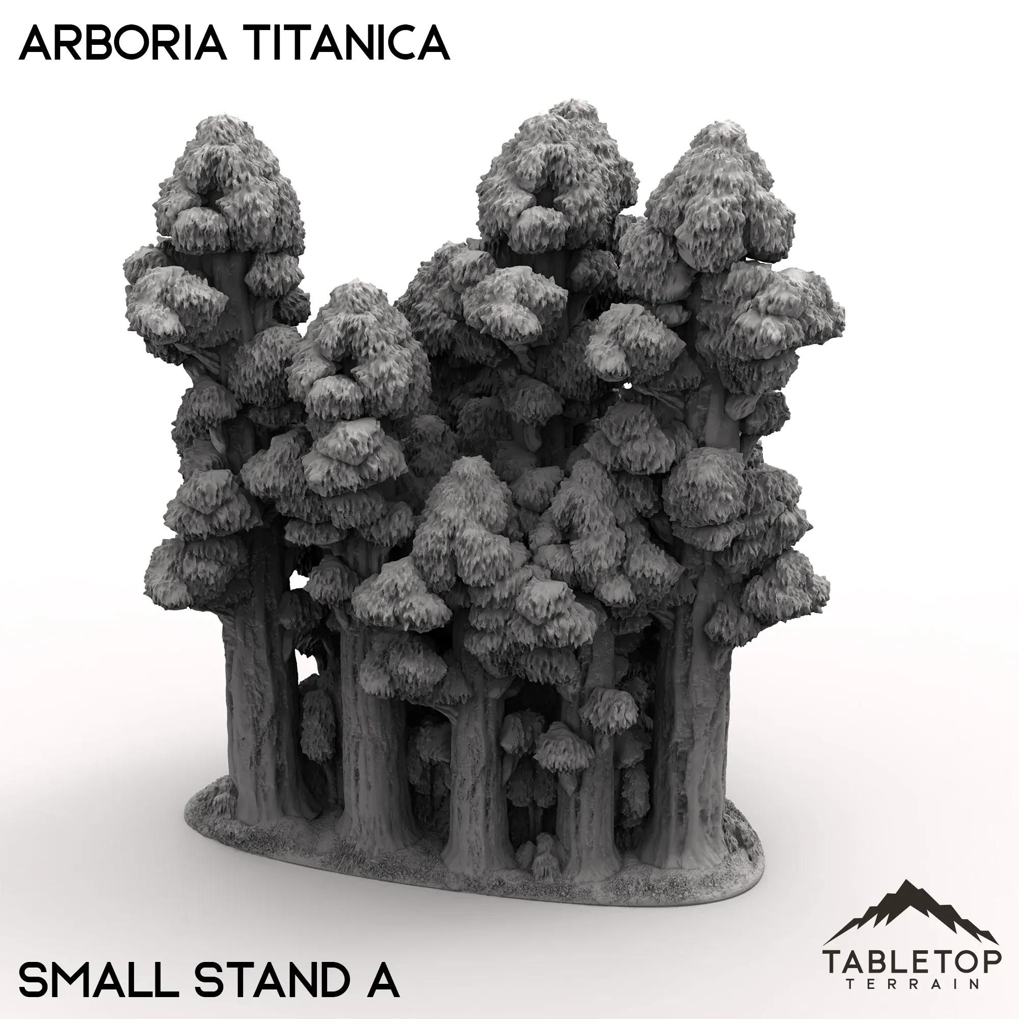 Arboria Titanica - 6-8mm - Image 8