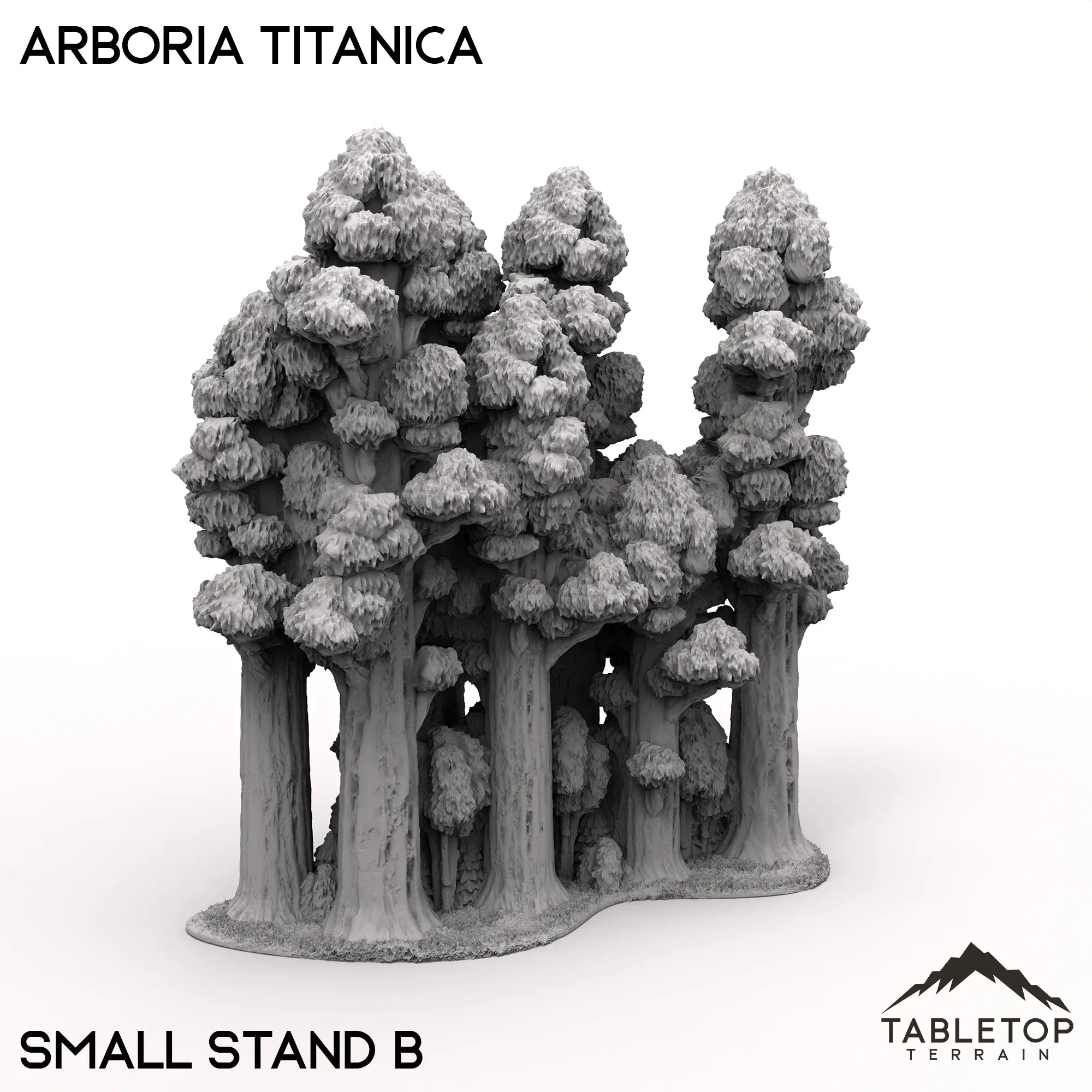 Arboria Titanica - 6-8mm - Image 9