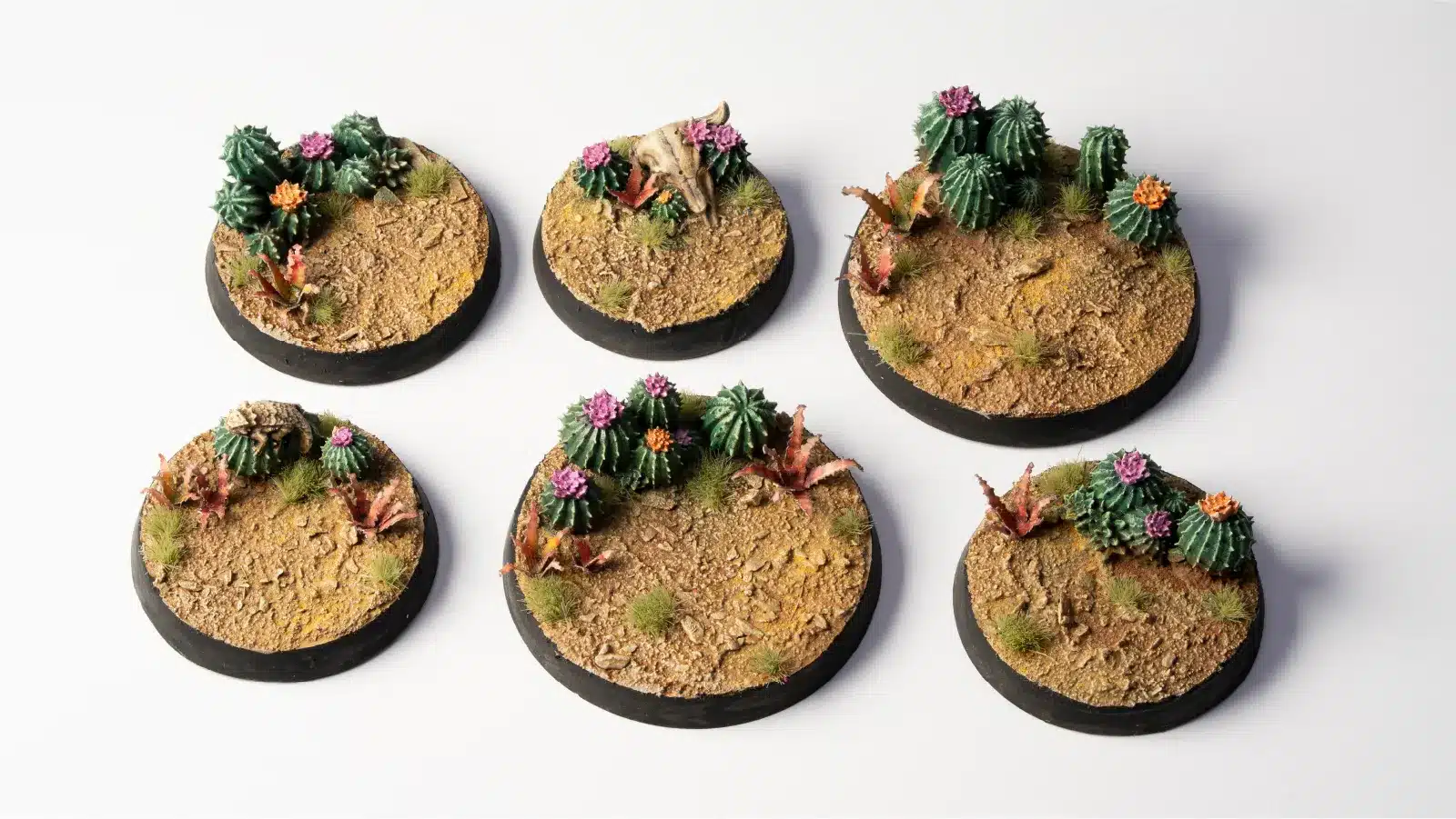 Barrel Cacti - Image 5