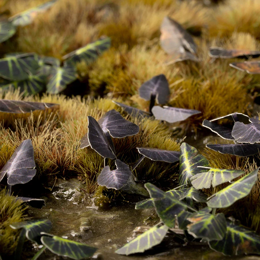 Black Magic Taro - Image 6