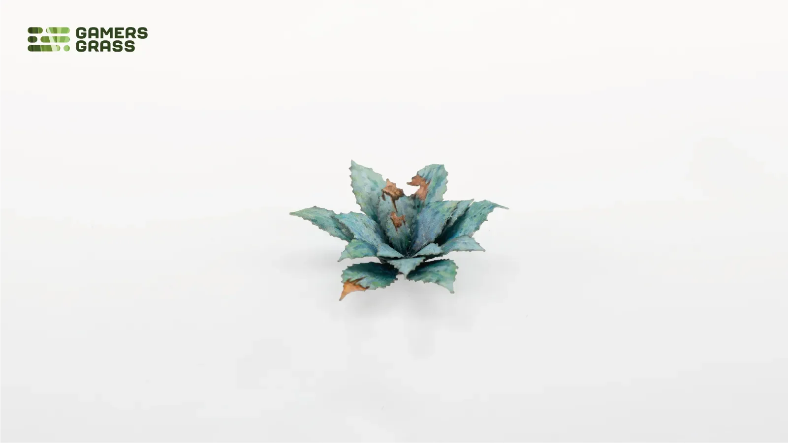 Blue Agave - Image 2