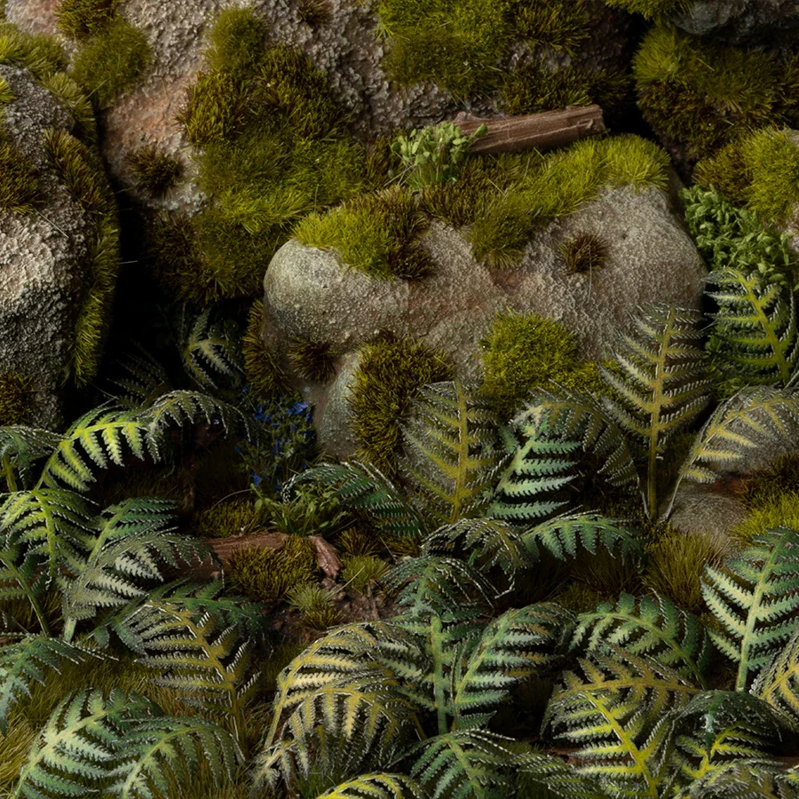 Bracken - Image 5