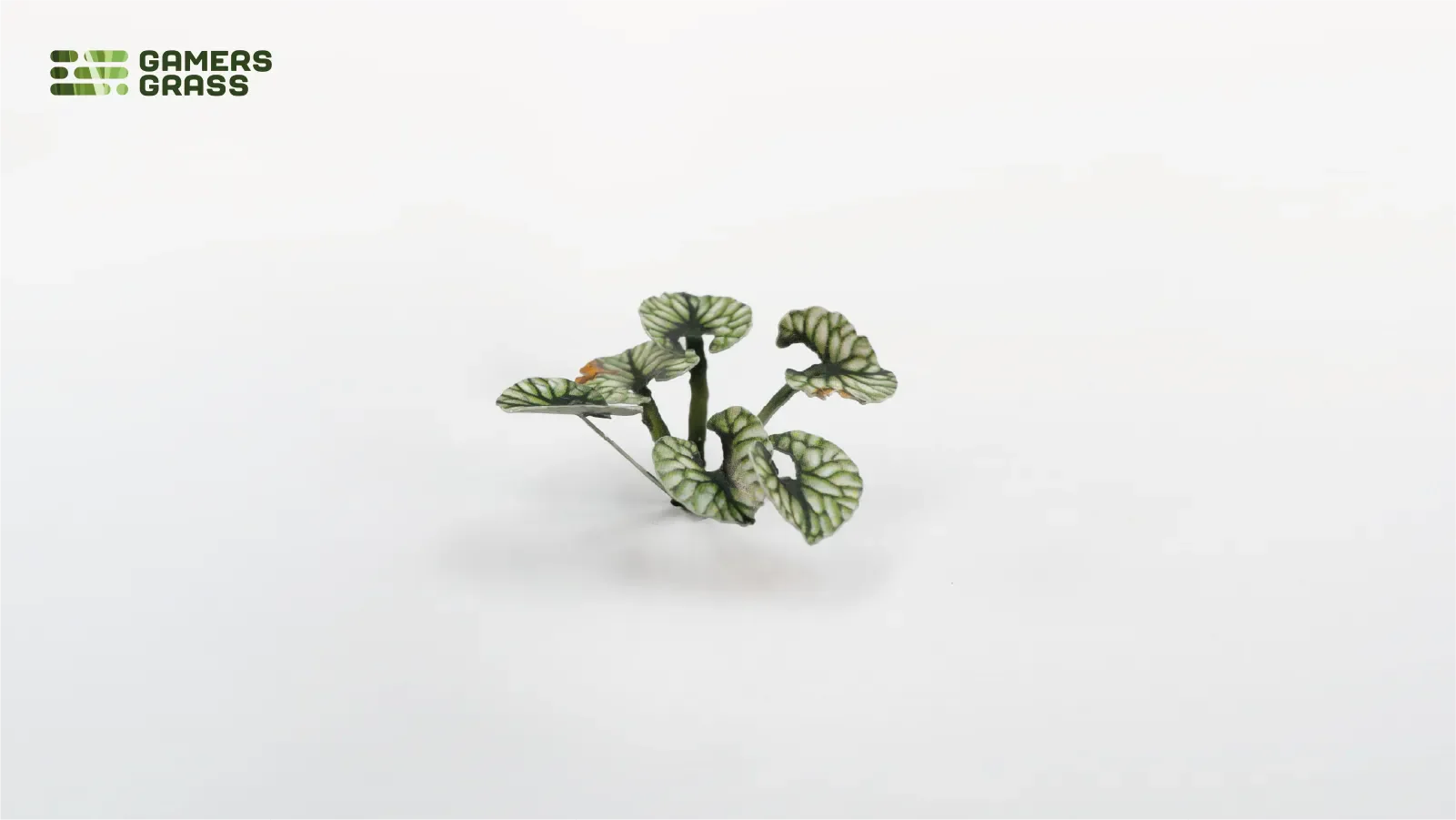 Bugloss - Image 2
