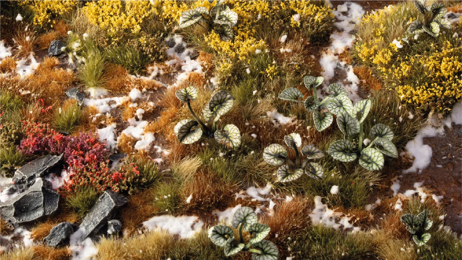 Bugloss - Image 5