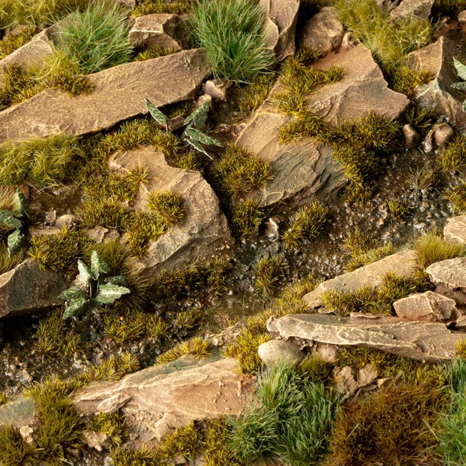 Dark Moss - Image 3