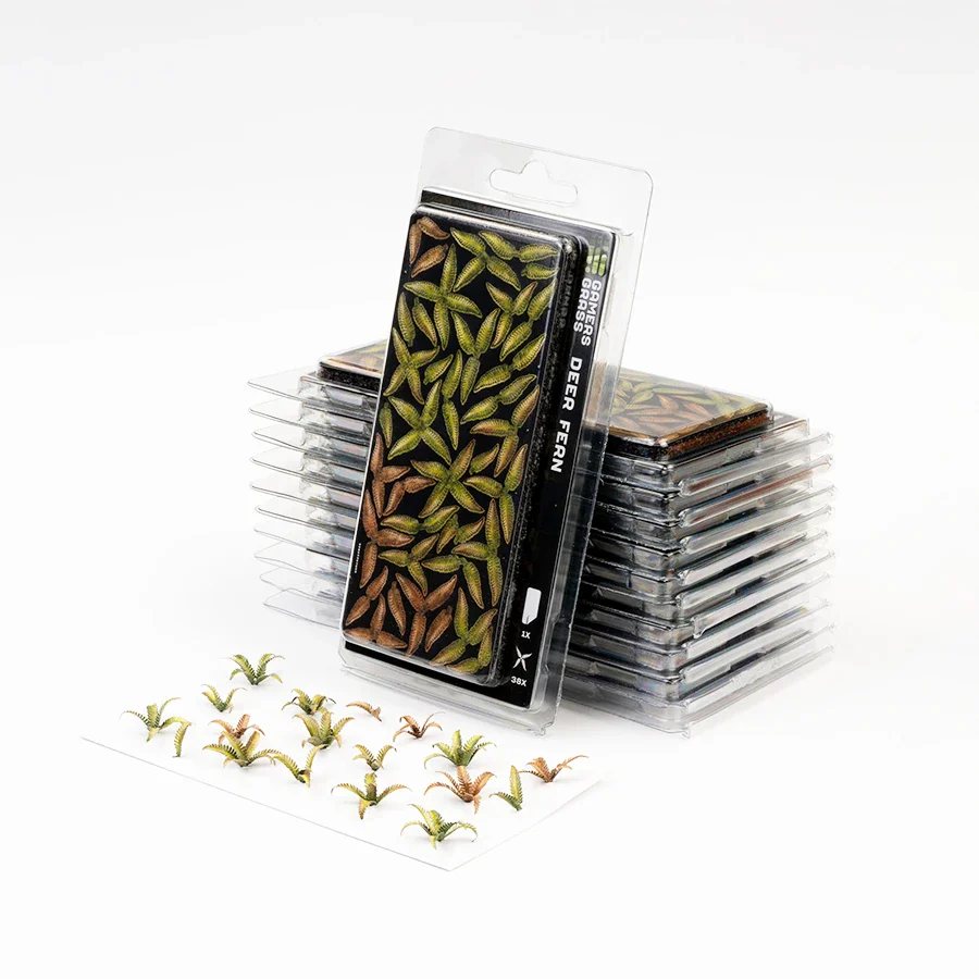 Deer Fern - Image 2
