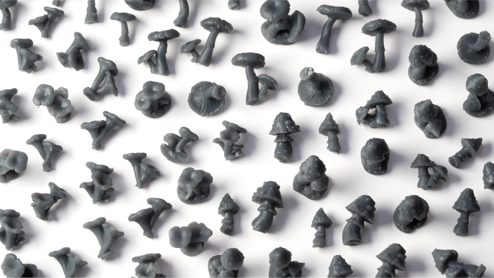 Forest Mushrooms - Image 3