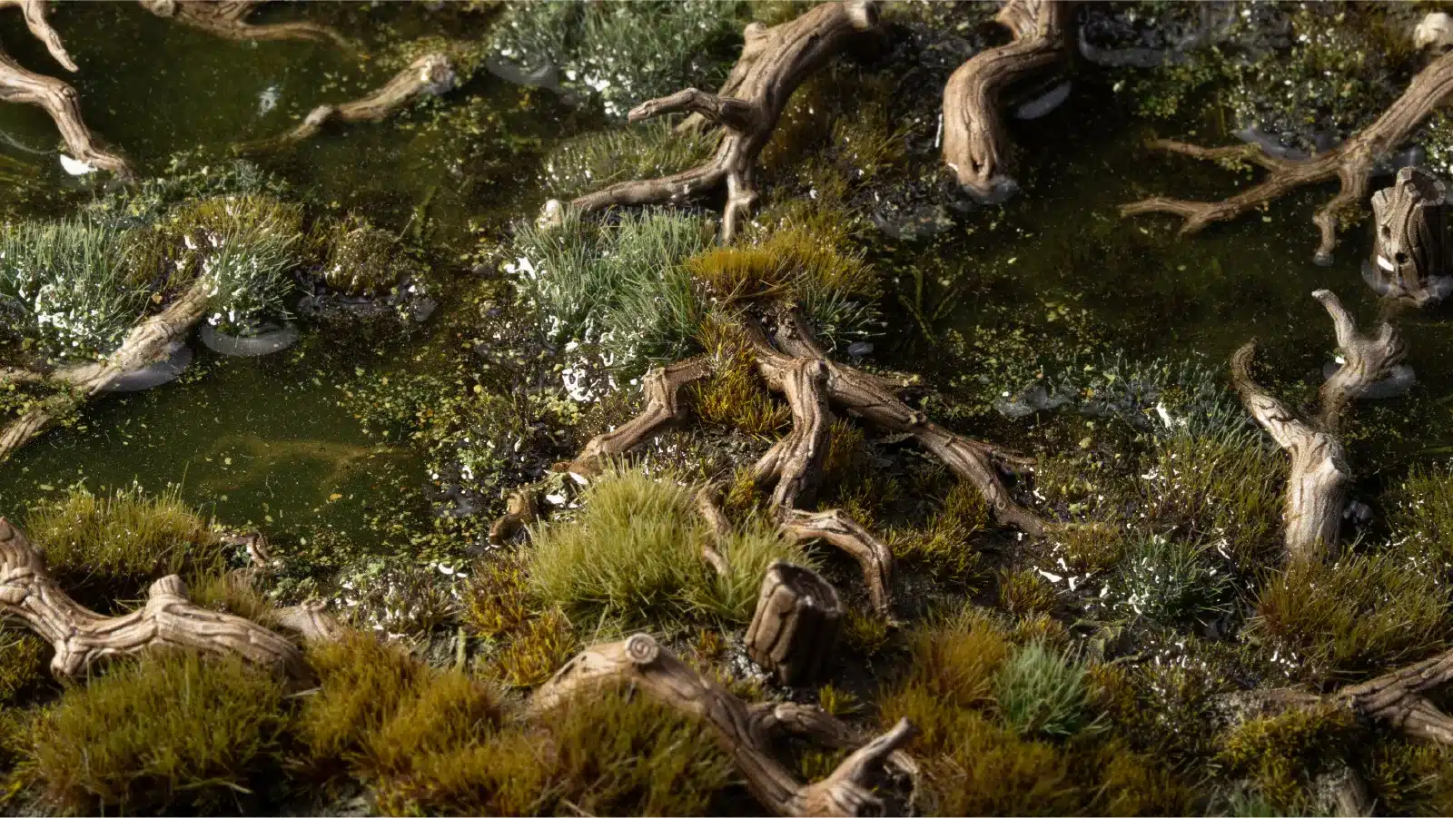 Gnarled Branches - Image 2