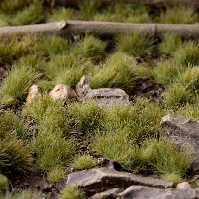 Green - Image 6