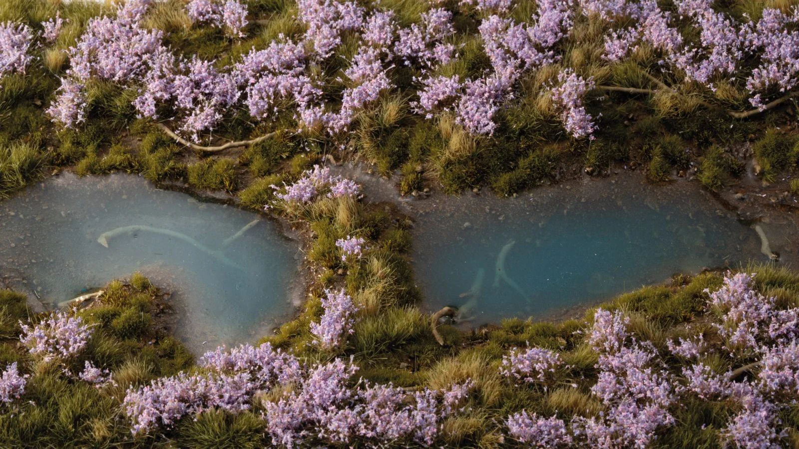 Lavender Flowers - Image 2