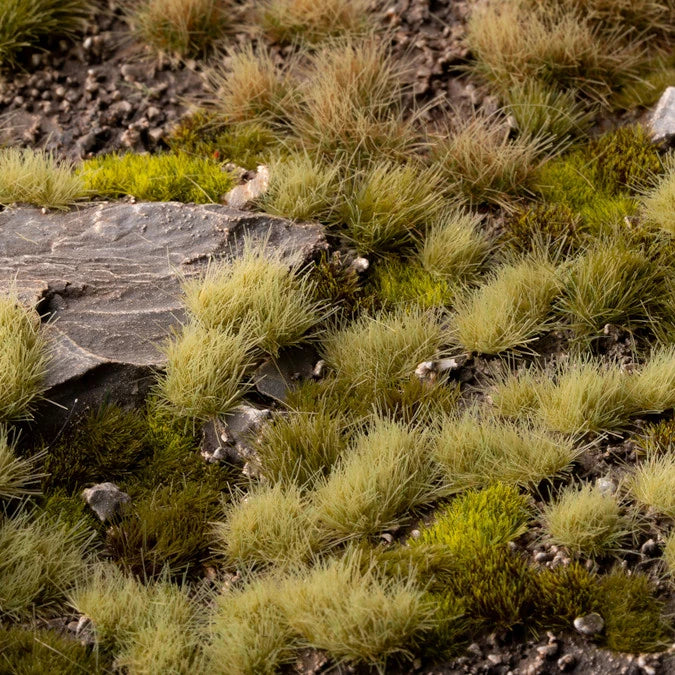 Light Green - Image 9