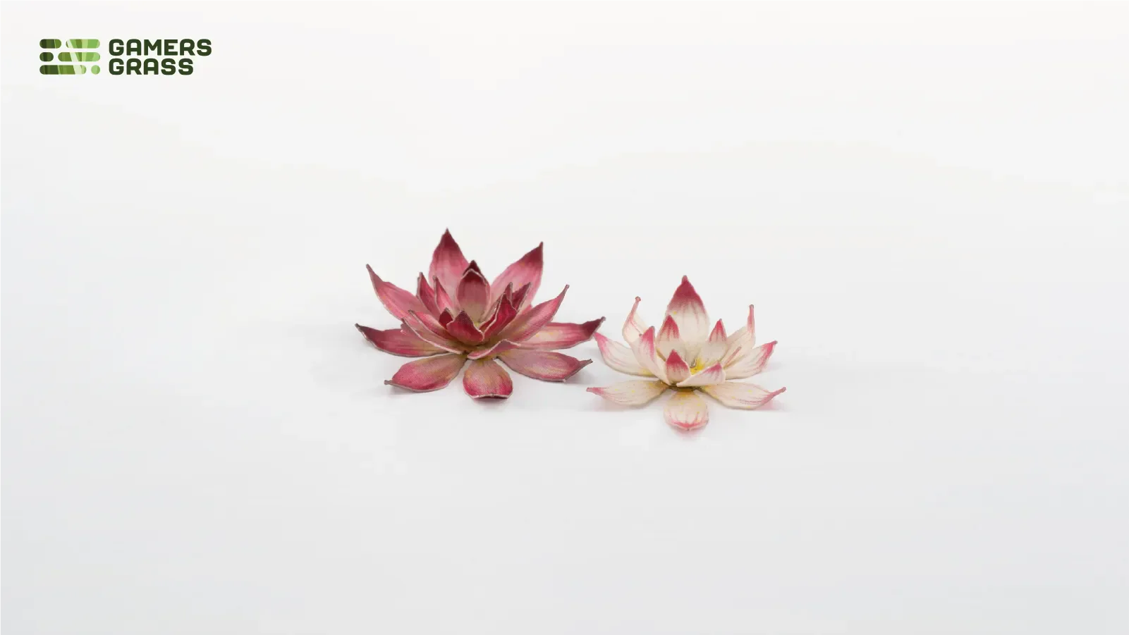 Lotus Flower - Image 2