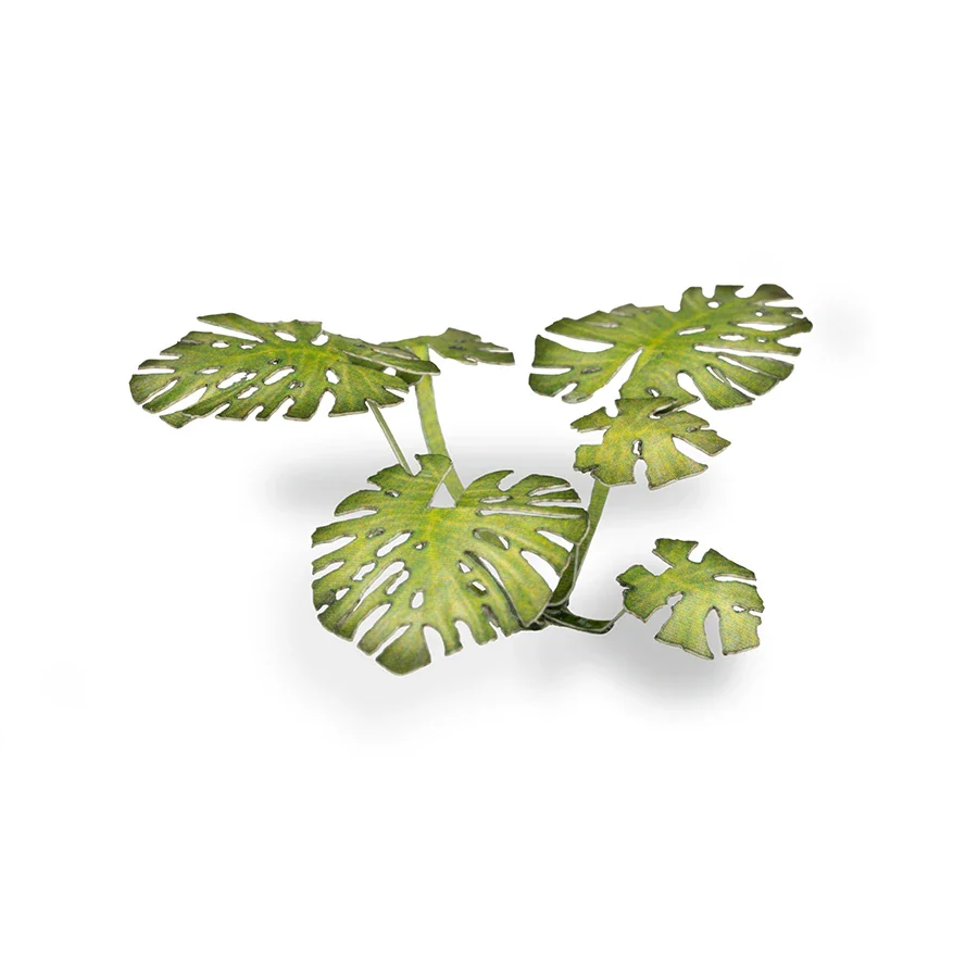 Monstera - Image 3