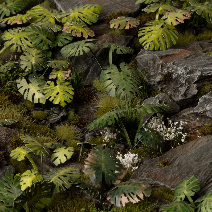 Monstera - Image 7
