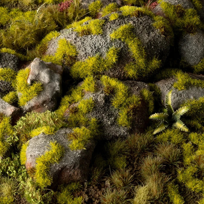 Moss - Image 3