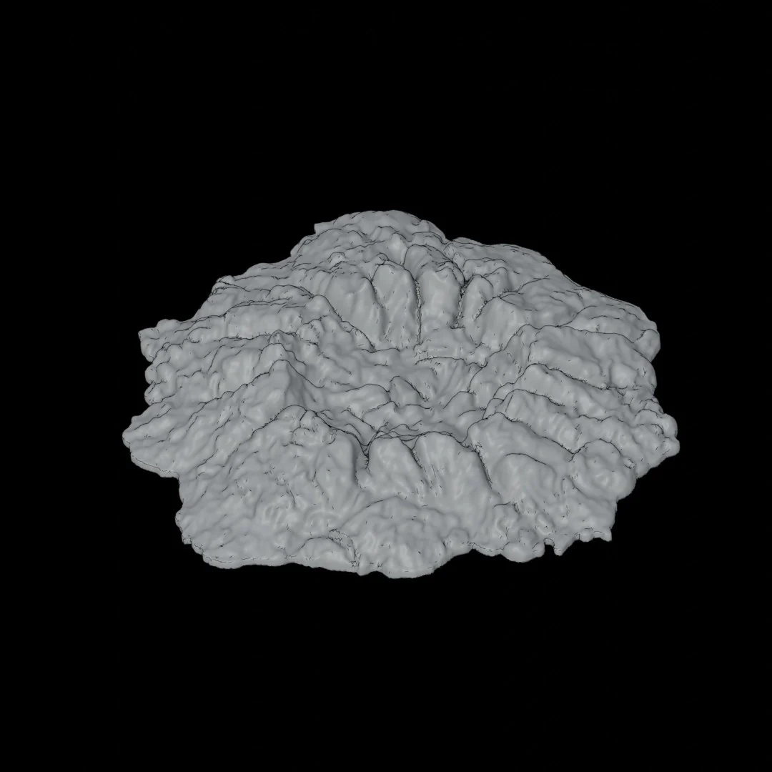 Organic Terrain - Image 12