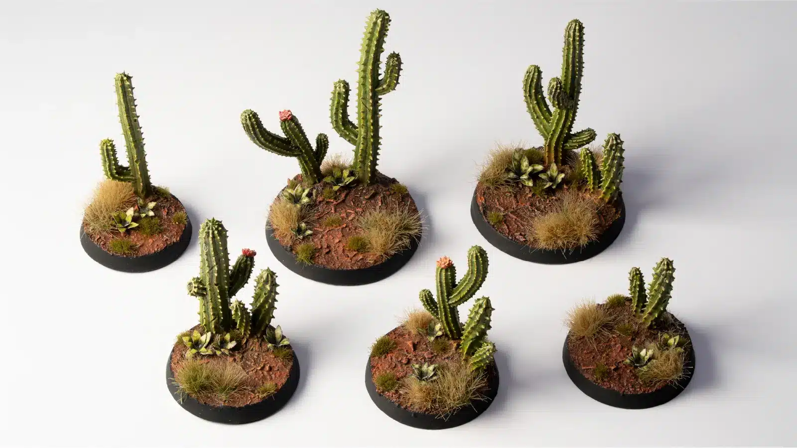 Saguaro Cacti - Image 5