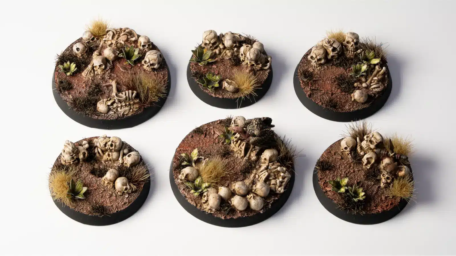 Skulls & Bones - Image 5