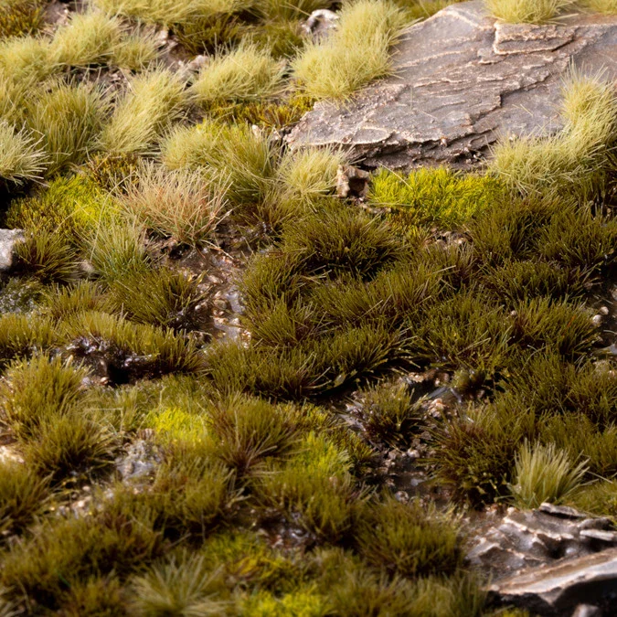 Swamp - Image 7