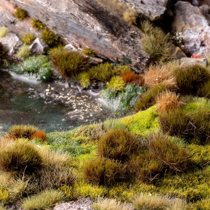 Swamp - Image 8