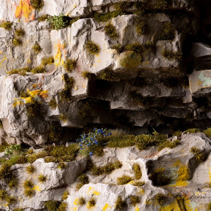 Tiny Dark Moss (2MM) - Image 2