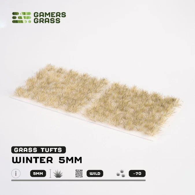 Winter - Image 6