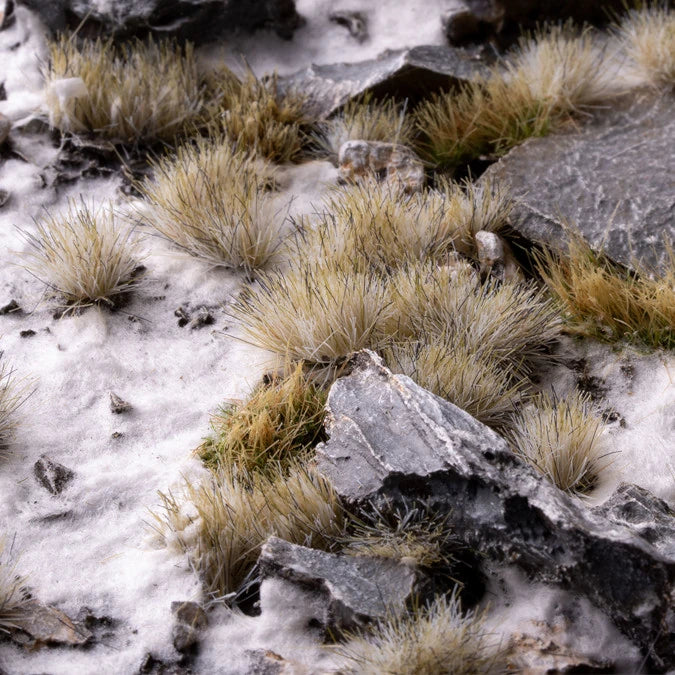 Winter - Image 7